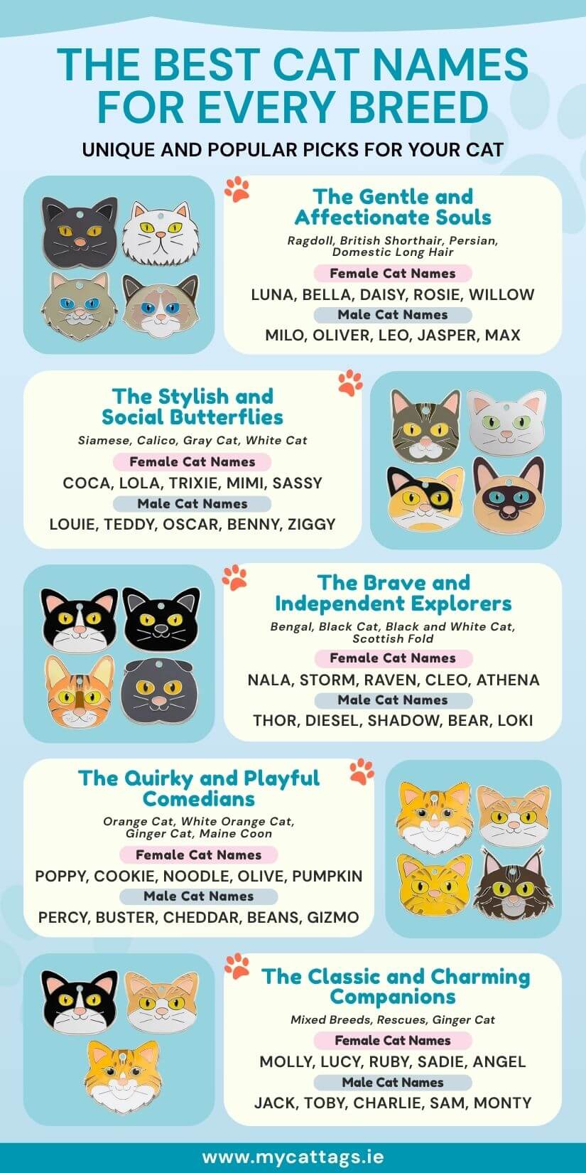 Visual guide with kitten names by breed and personality, plus engraved cat tags for male and female cats